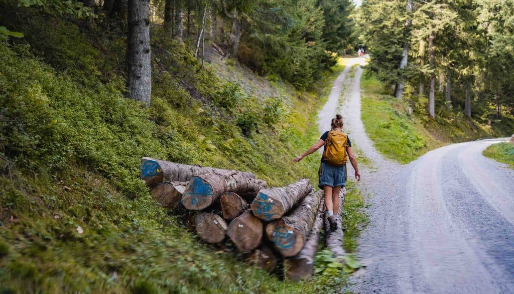 wandelen in het zwarte woud