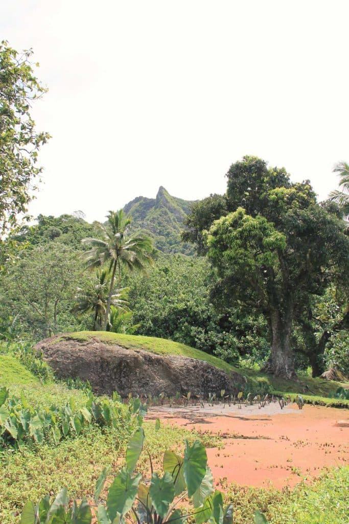 welke eilanden bezoeken op de cook eilanden