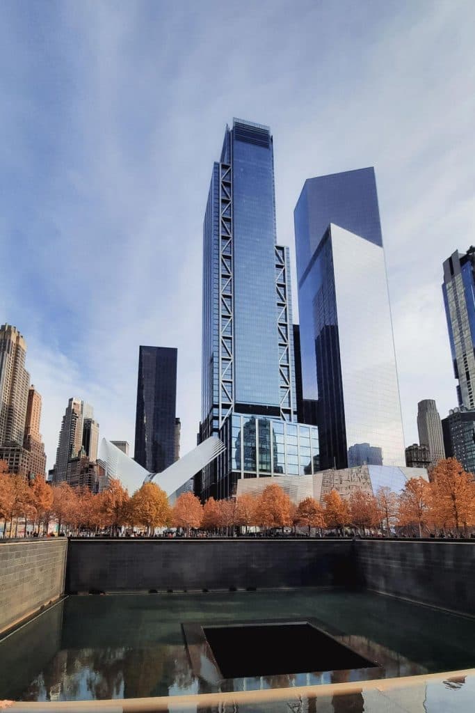 wat doen in new york