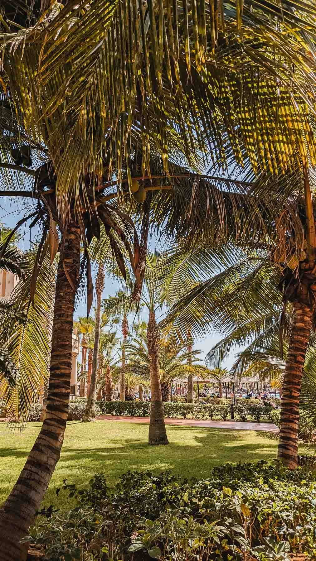 tui resort kaapverdie karambao