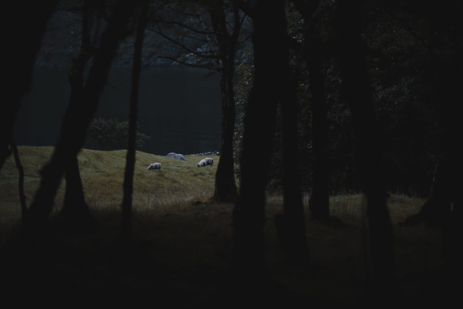 The Kayak Trip met Travelbase in Noorwegen