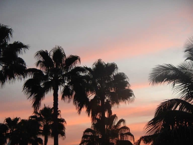 RUI Karambao Kaapverdie TUI - all-in resort