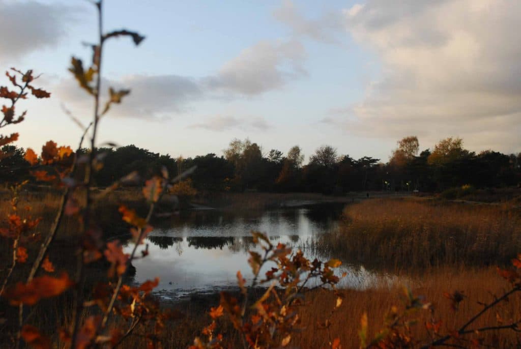 wandelen aan de keiheuvel