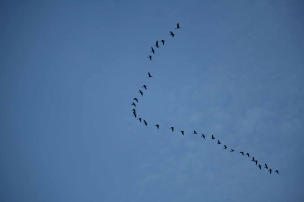 mooiste wandeling vlaanderen hageven