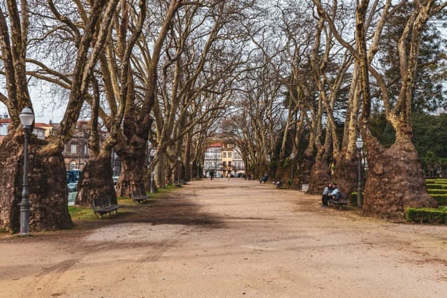Mooiste plaatsen om te bezoeken tijdens 3-daagse citytrip in Porto Portugal