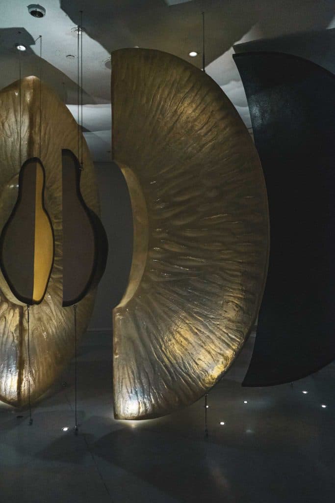 The wine experience Porto