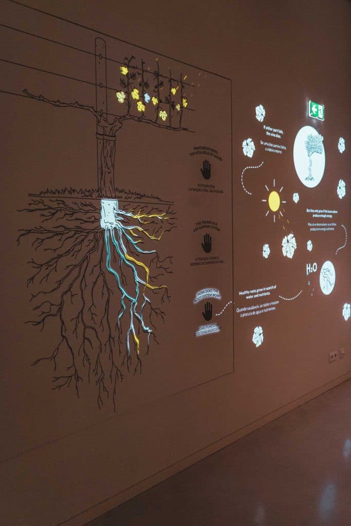 The wine experience Porto