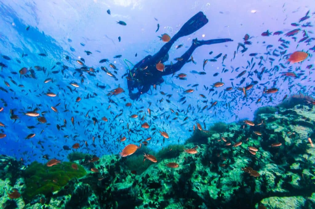 een open water padi halen in thailand