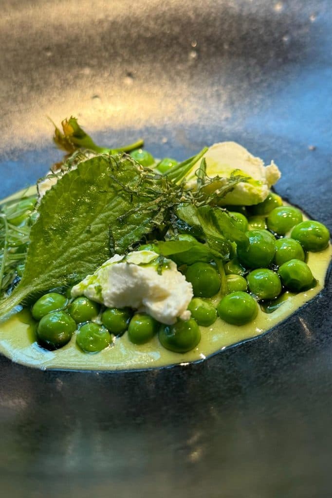 dit is het beste restaurant van praag: stangl
