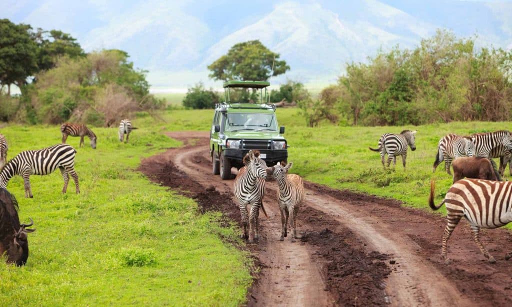 Safari game drive in Tanzania