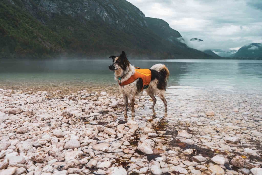 Raften op het meer van Bohinj Slovenië
