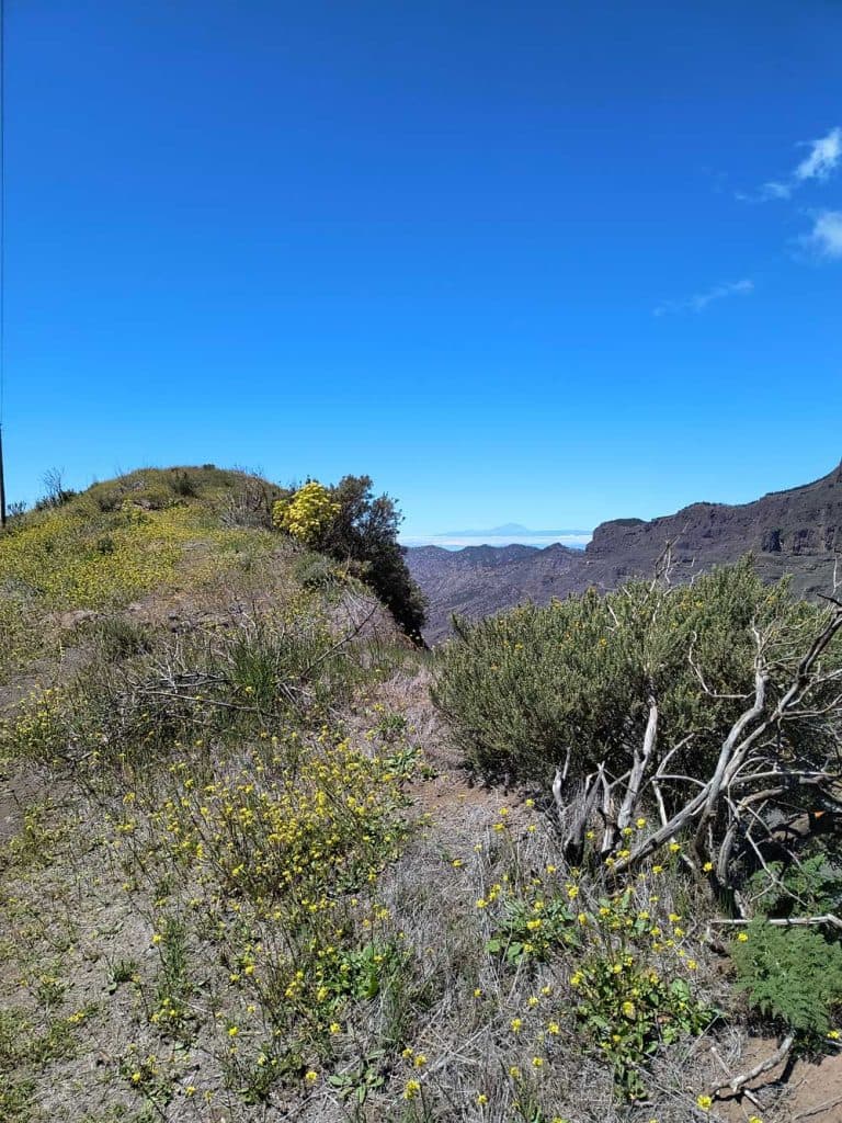 bikepack gran canaria gran guanche
