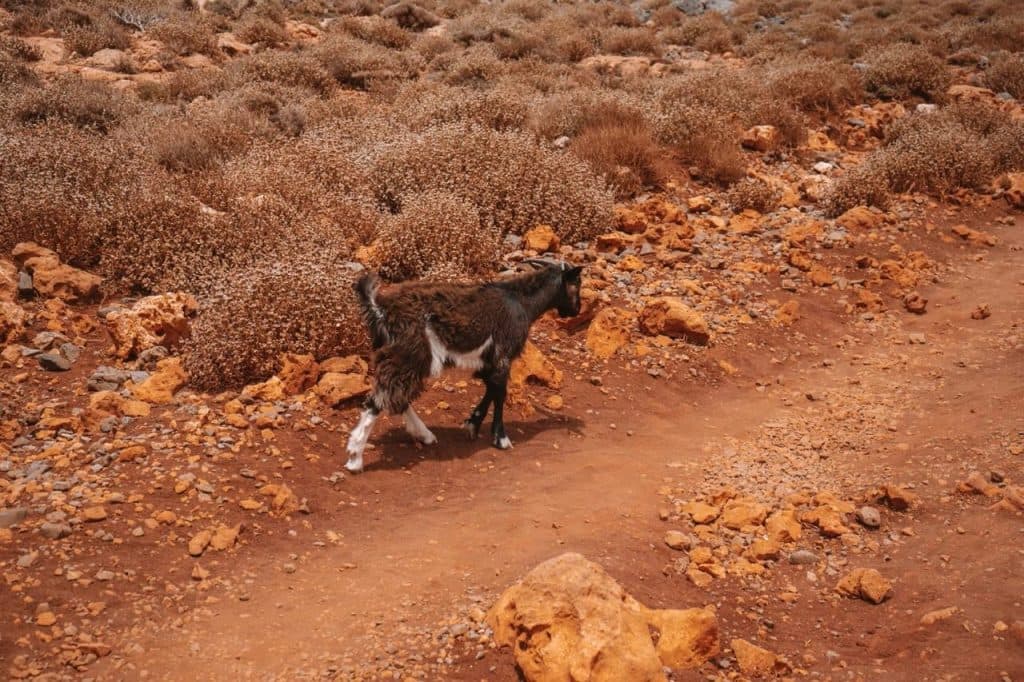 wat doen in Griekenland