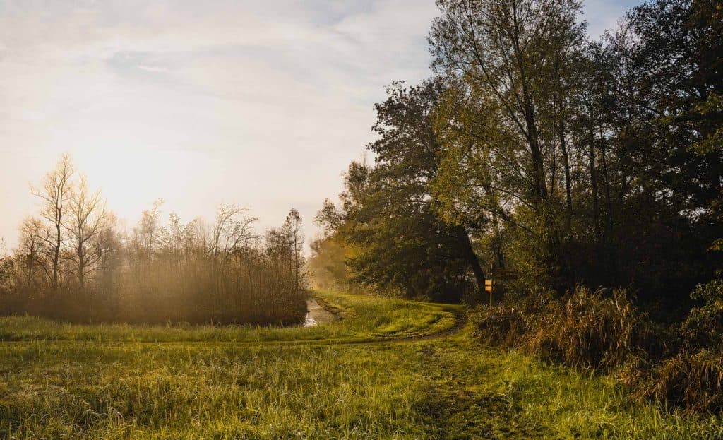 slowcation nederland: wandelen in overijssel en gelderland