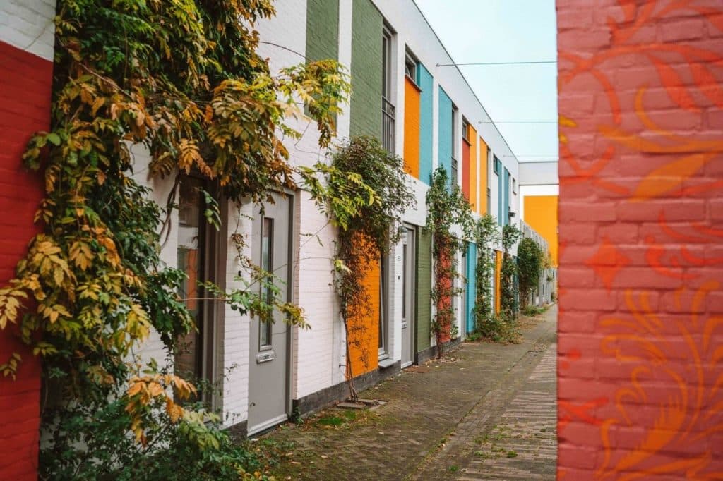 Eindhoven districten