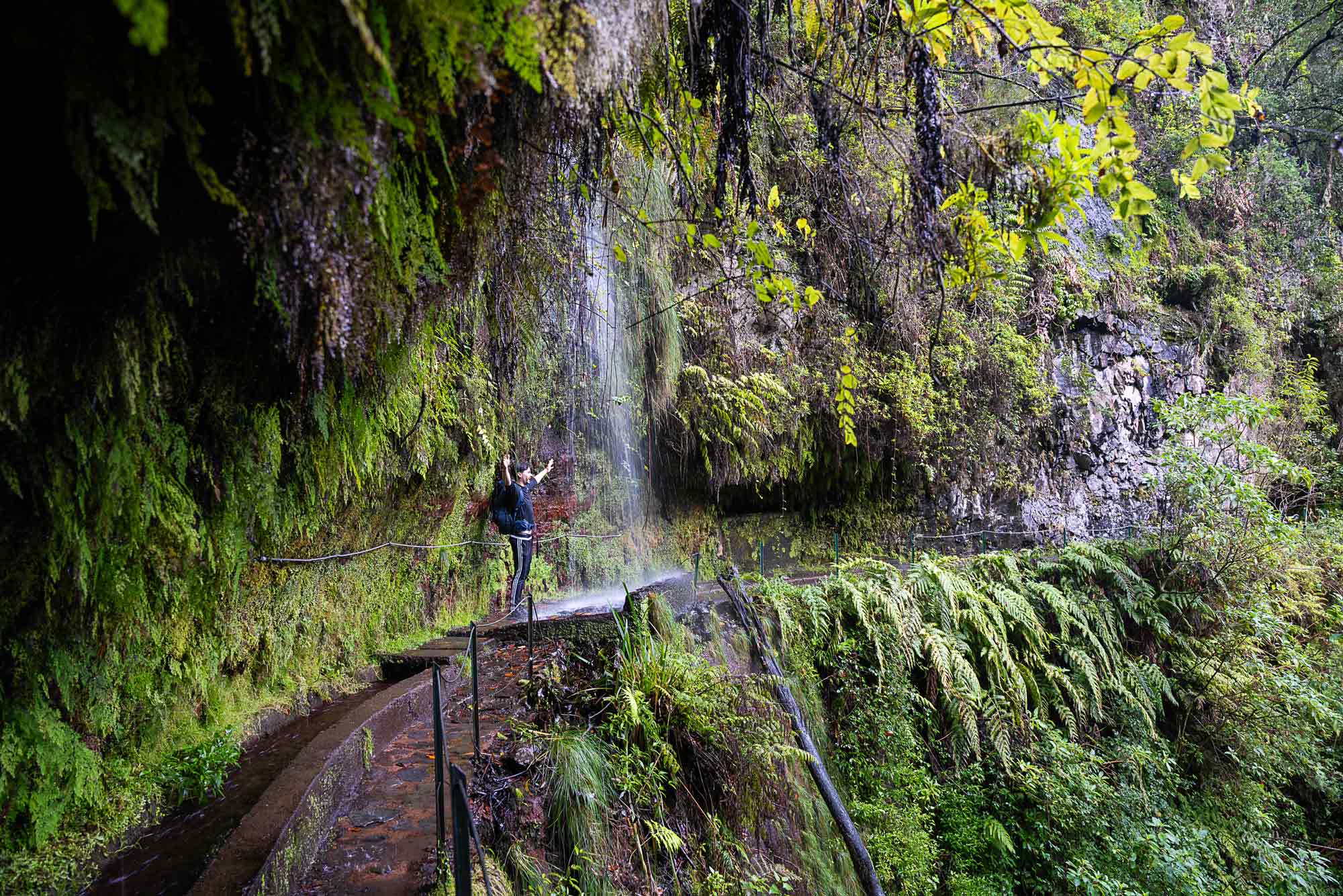 pr levada do rei madeira