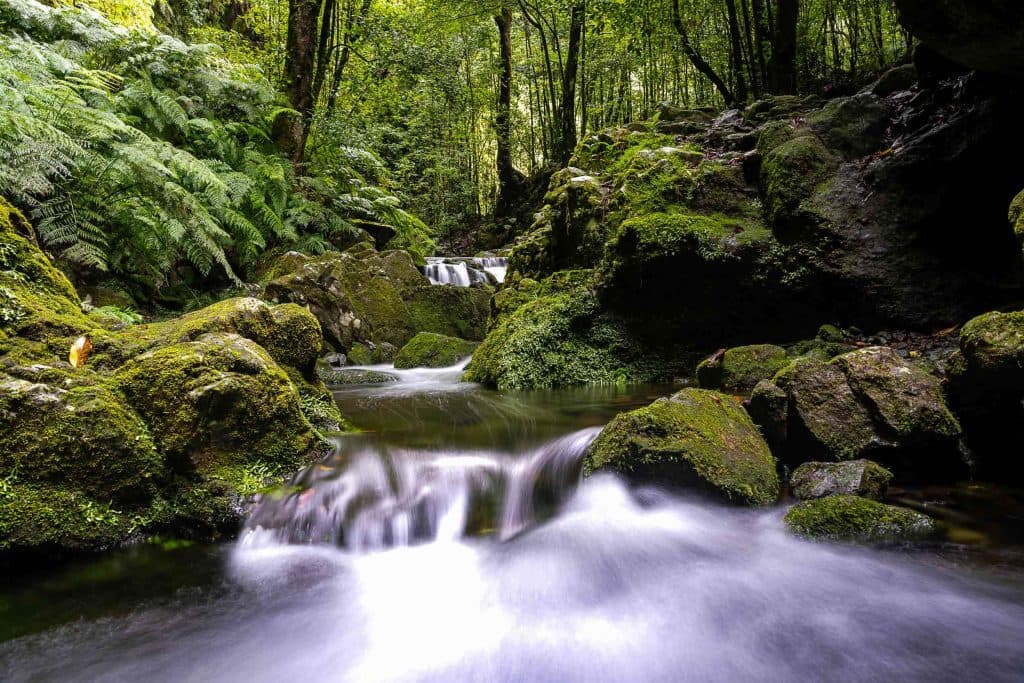 is madeira de moeite in de winter