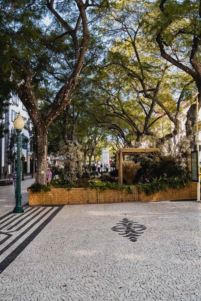 is madeira de moeite in de winter