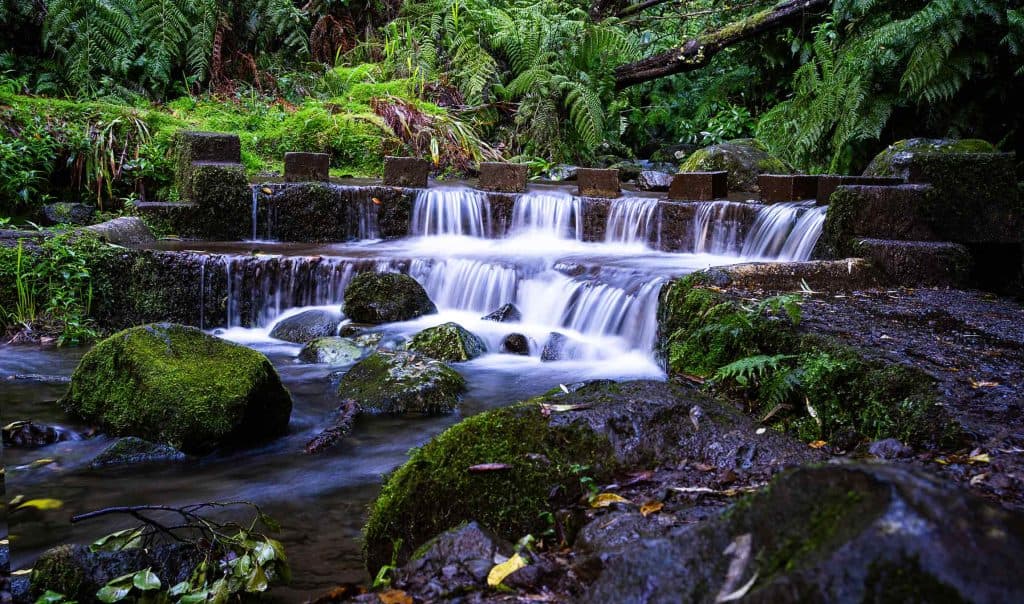 is madeira de moeite in de winter