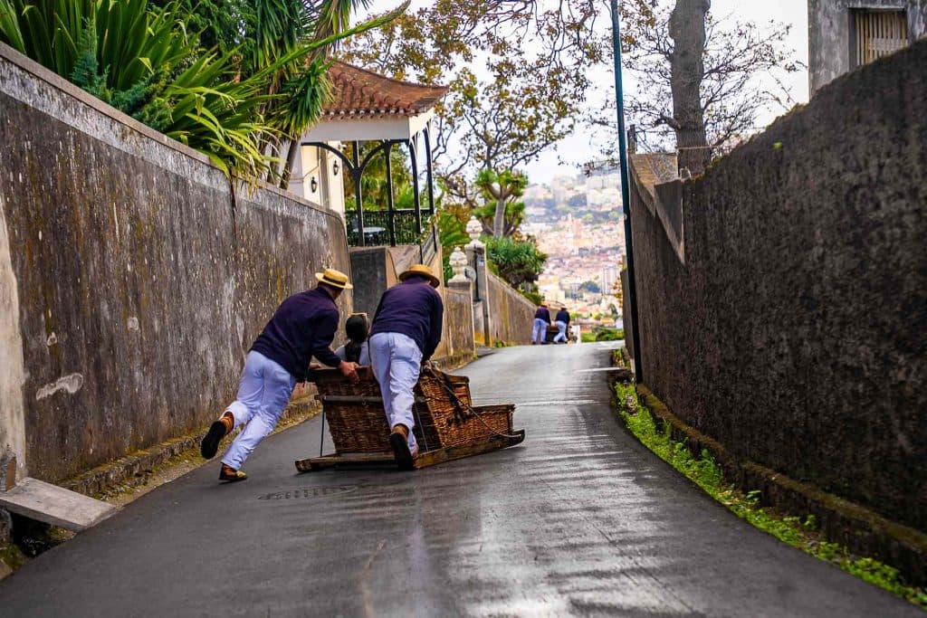 toboggan slee funchal