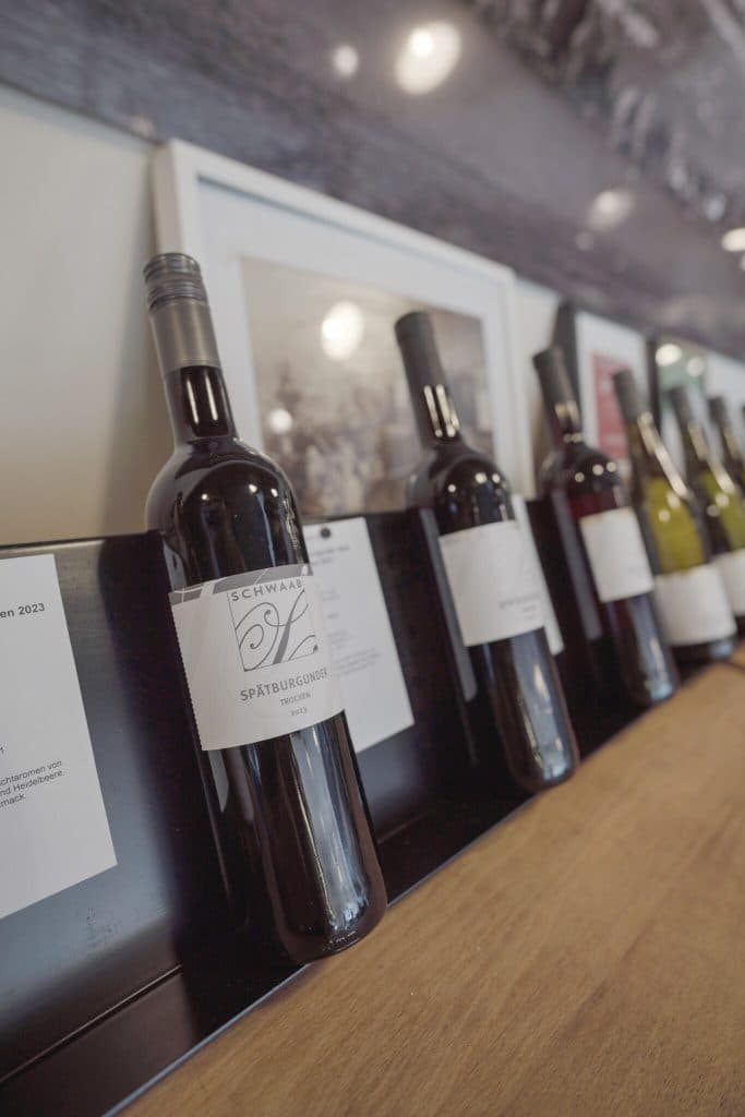 wijnvakantie in duitsland: koblenz