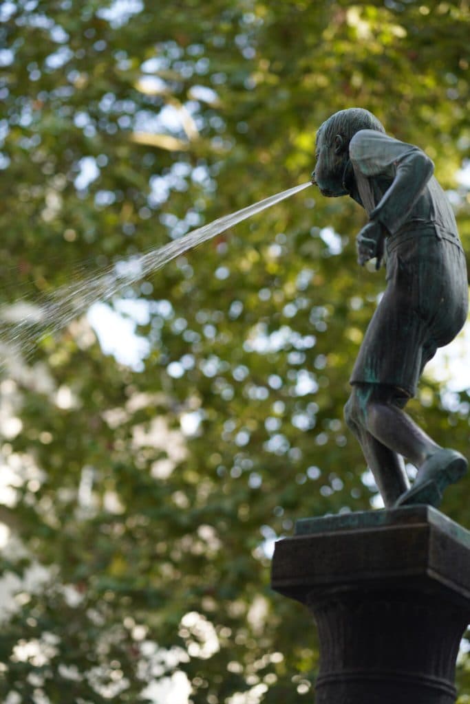 wijnvakantie in duitsland: koblenz