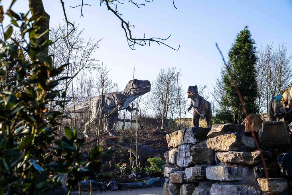 Twee grote dinosaurusbeelden, waaronder een T. rex, staan tussen de rotsen en bomen in een parkachtige omgeving onder een strakblauwe hemel in de Pairi Daiza dierentuin.