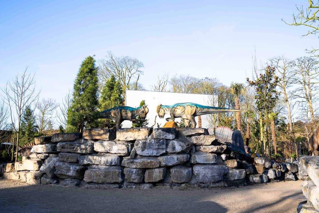 Twee levensechte dinosaurussculpturen staan op een stapel grote rotsen in een openluchtpark in Pairi Daiza, omringd door bomen en groen onder een helderblauwe hemel - een must-see hoogtepunt voor iedereen die deze unieke dierentuin wil bezoeken.