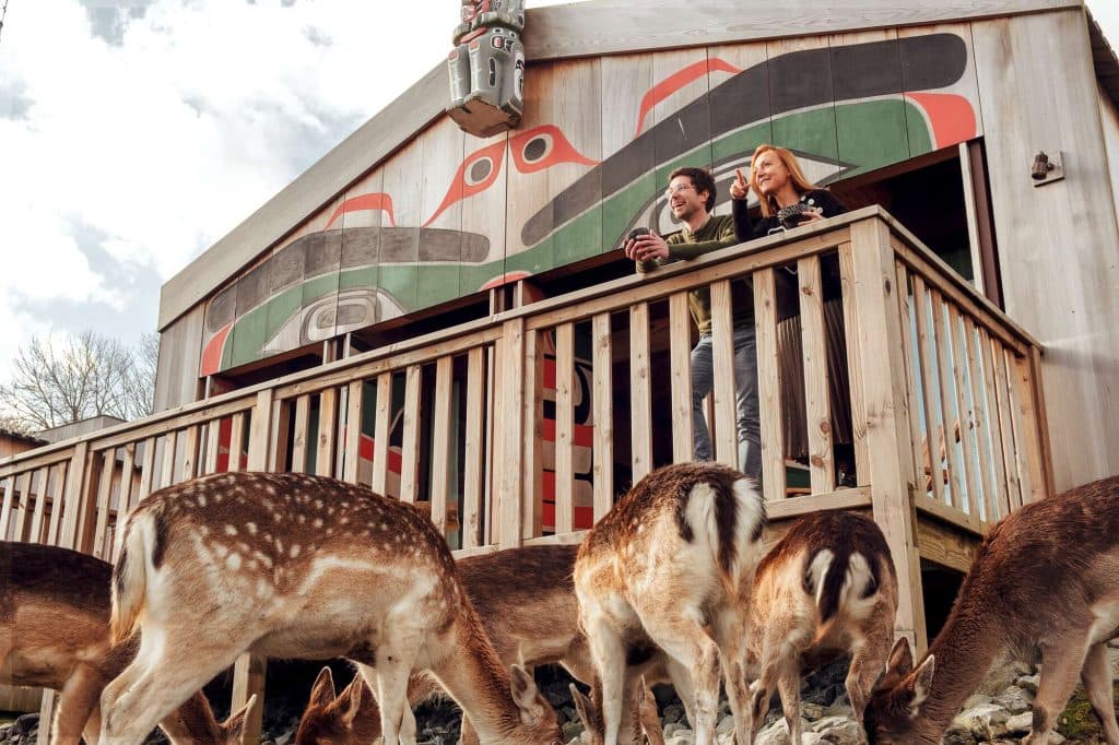 native house overnachten in pairi daiza