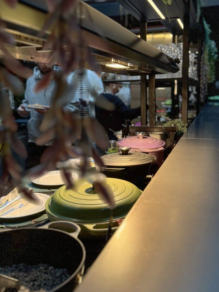 Düsseldorf, fietsstad, Oberkassel, citytrip