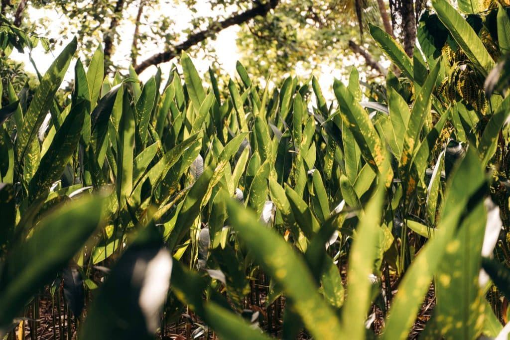 groepsreis naar costa rica met beyond borders