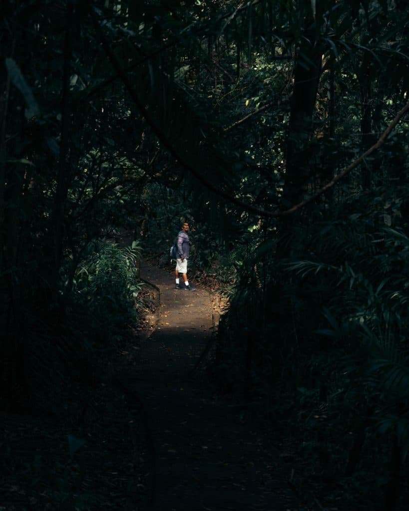 mauel antonio toeristische hotspot en natuurparken costa rica
