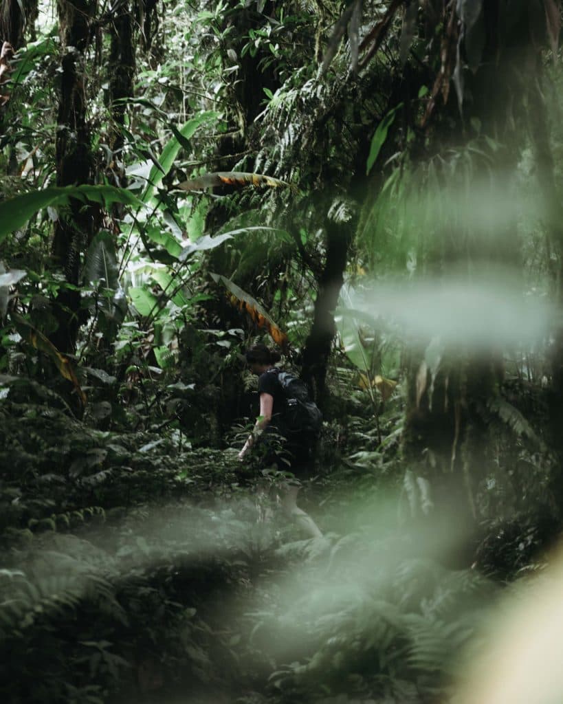 Santa Elena Cloud Forest