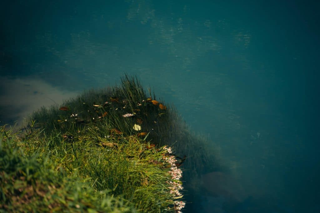 Tenorio Nationaal Park in Costa Rica