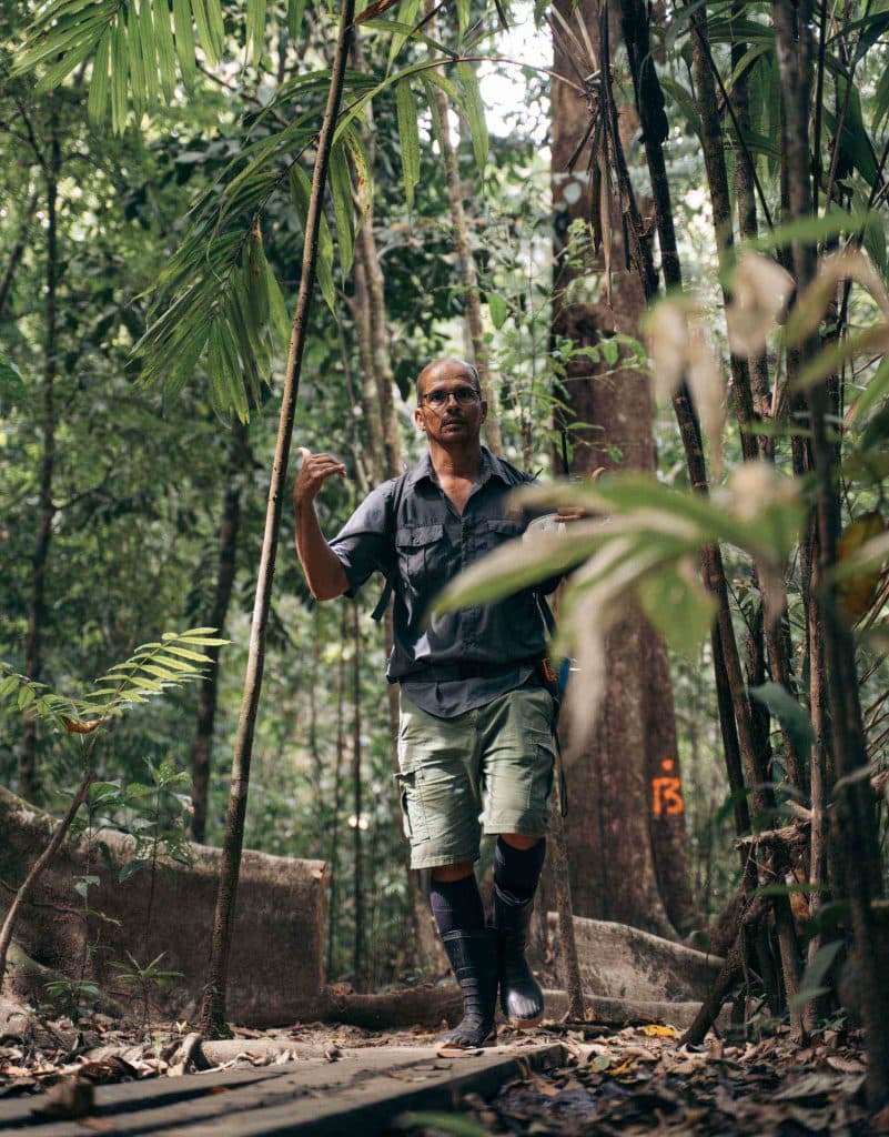 Corcovado National Park in costa rica