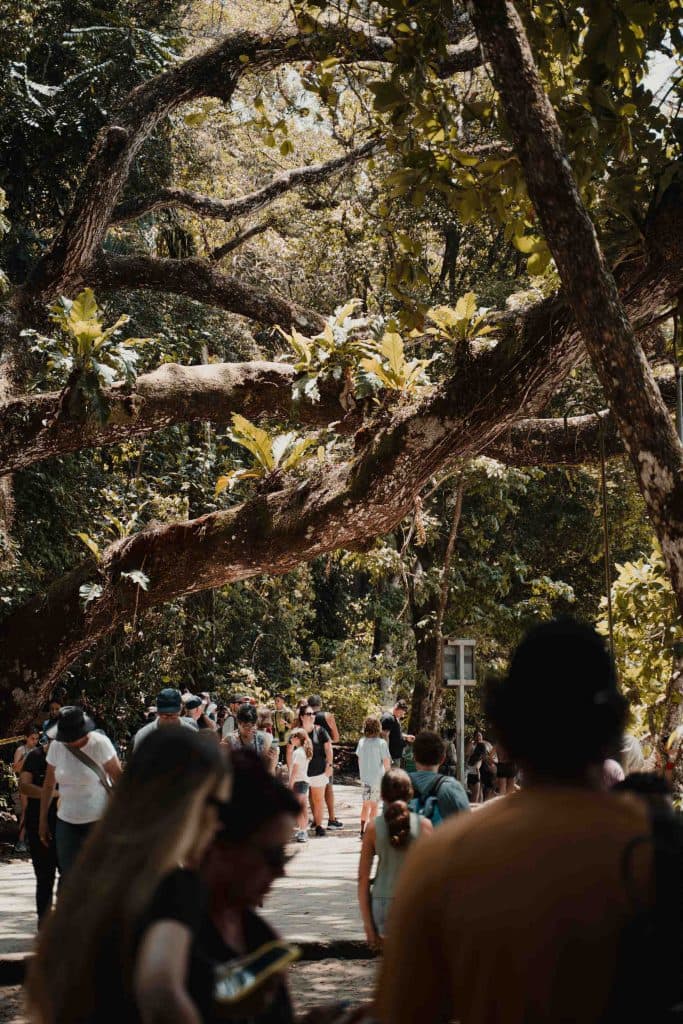 Must do Costa Rica: Manuel Antonio National Park