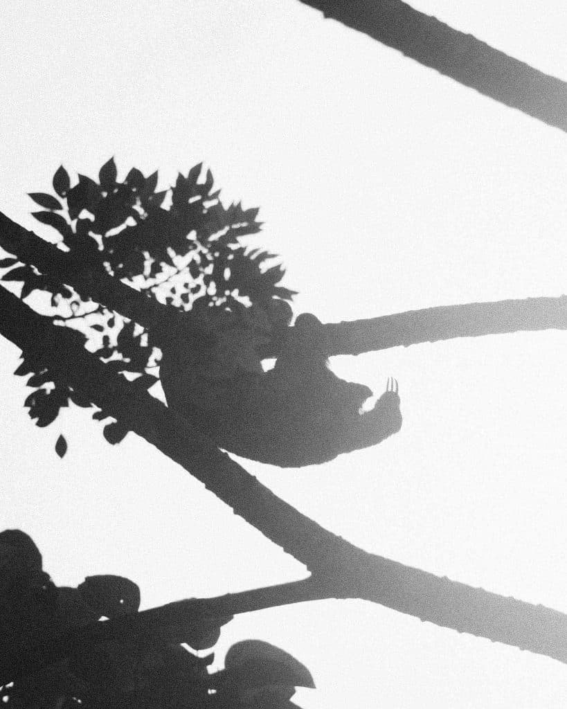 Must do Costa Rica: Manuel Antonio National Park