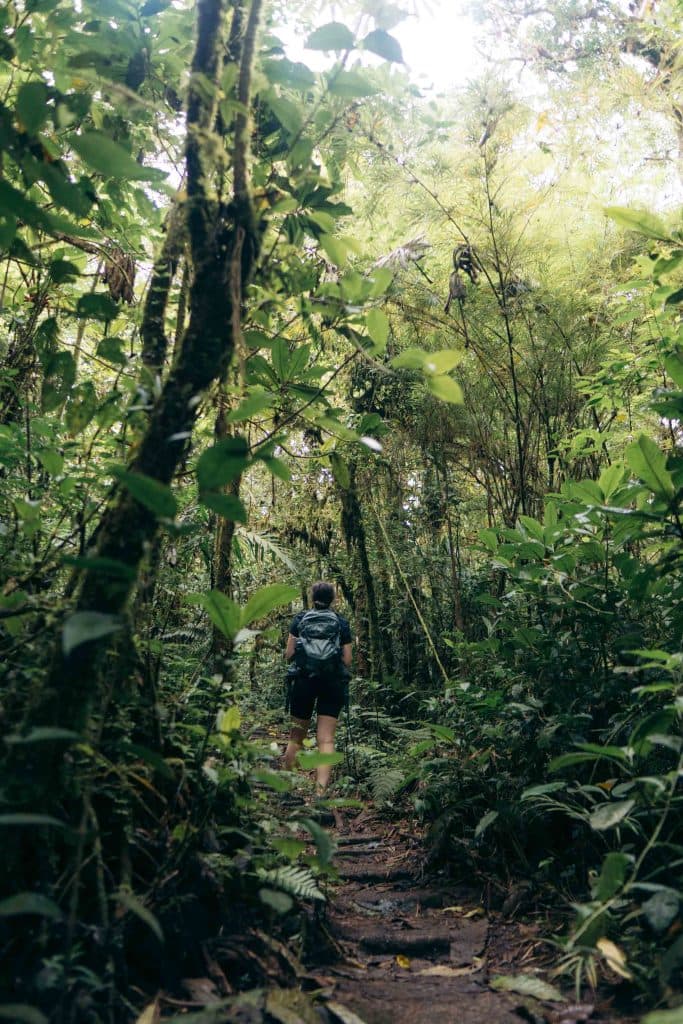 Santa Elena Cloud Forest Reserve