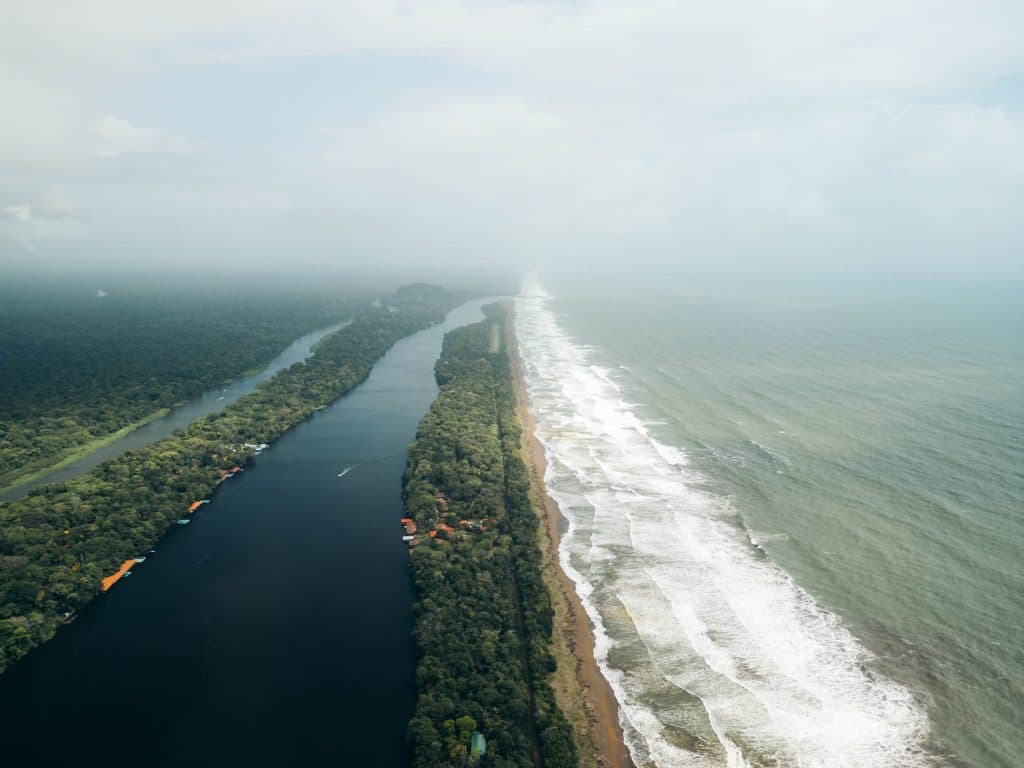 Kaaiman in Het Tortuguero National Park in Costa Rica bezoeken