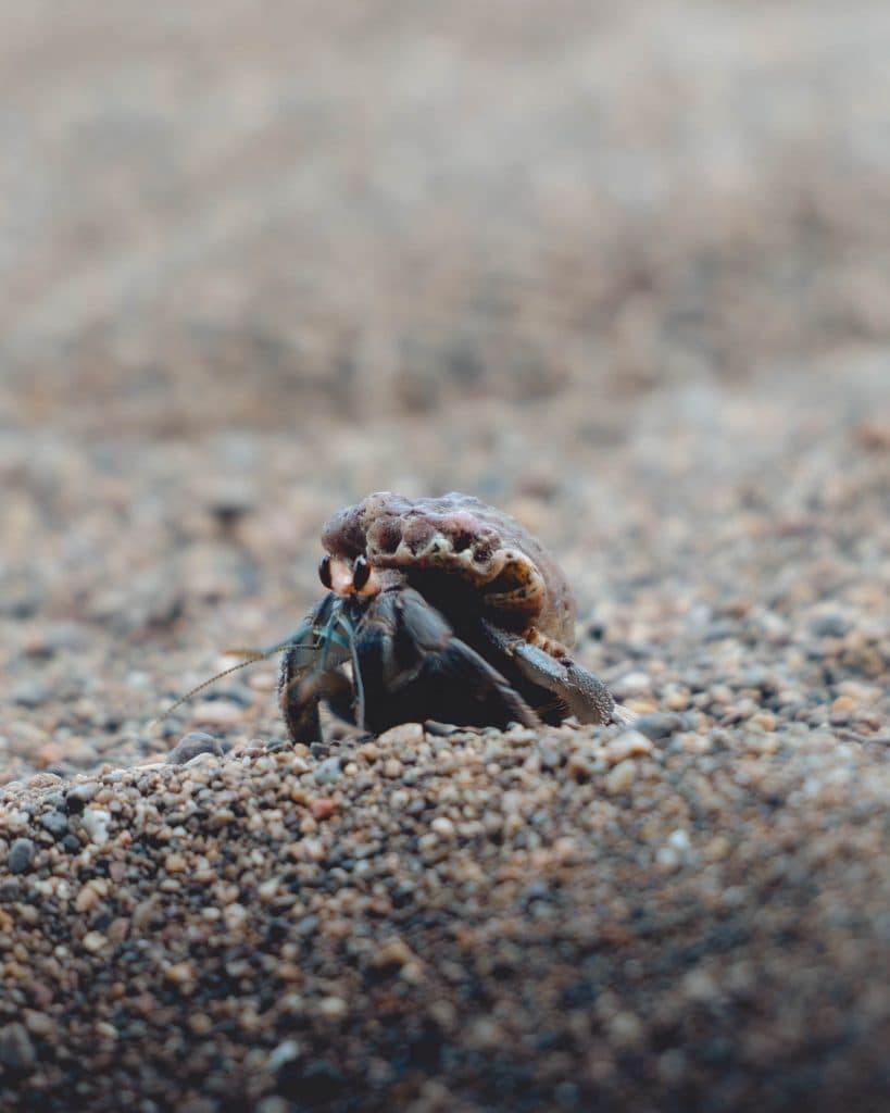 Reis naar Costa Rica met Beyond Borders