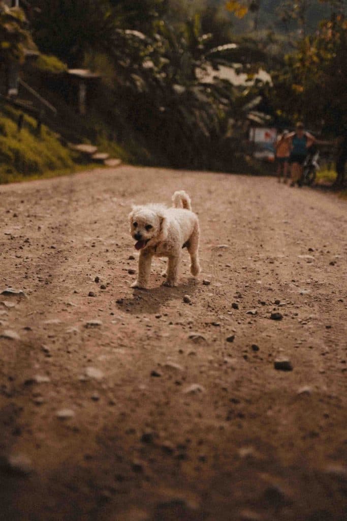 zeker doen en zien in costa rica