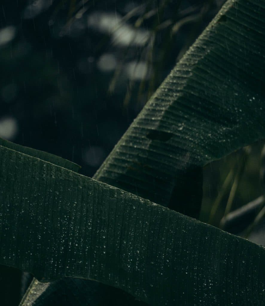 beste restaurants en sodas in costa rica