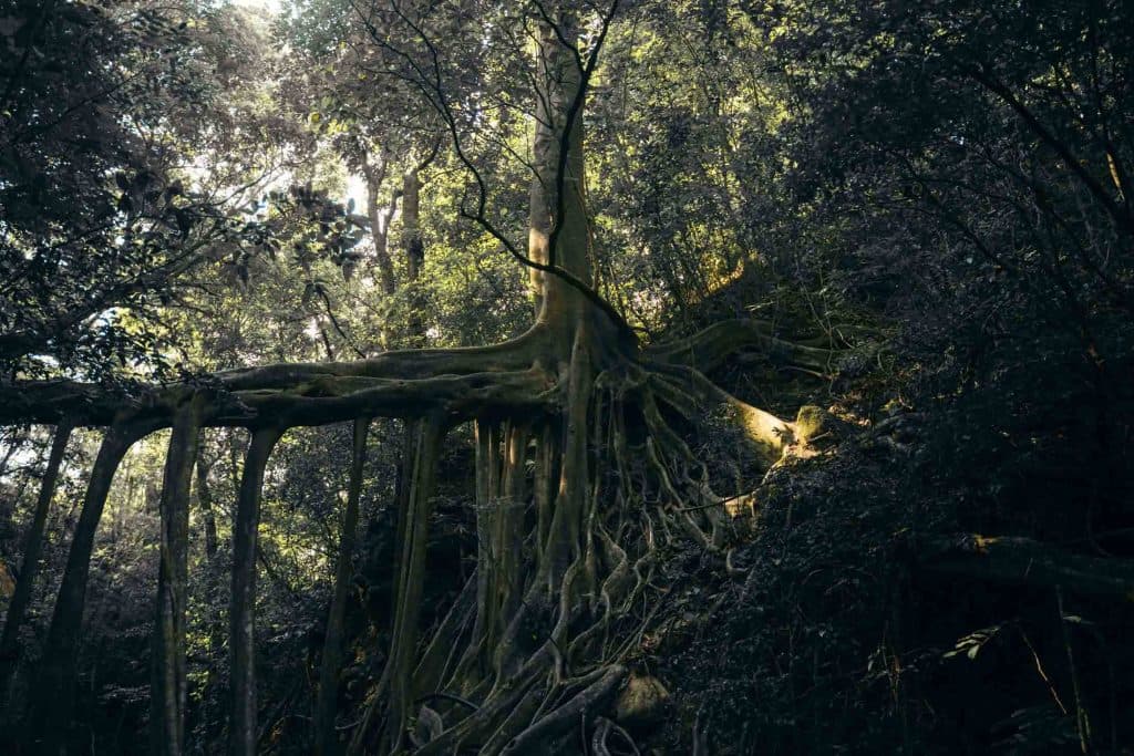 nationale parken costa rica