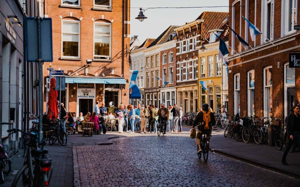 wat doen in den bosch