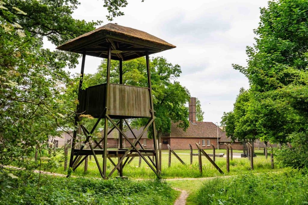wandelen in den bosch