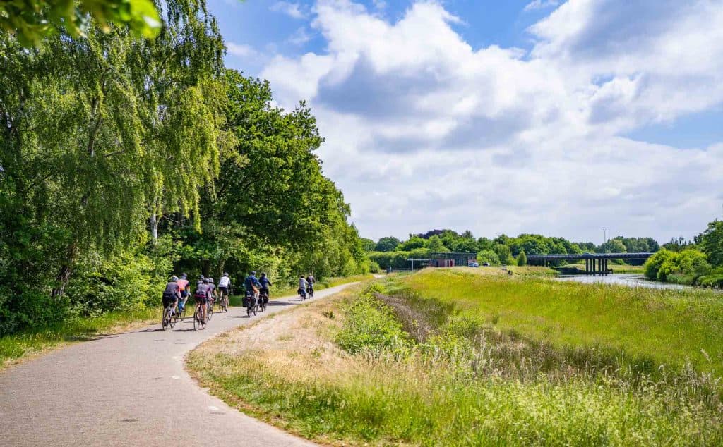 wandelen in den bosch