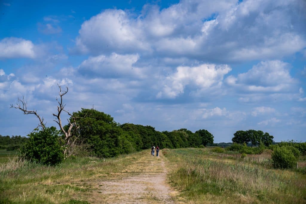 wandelen in den bosch