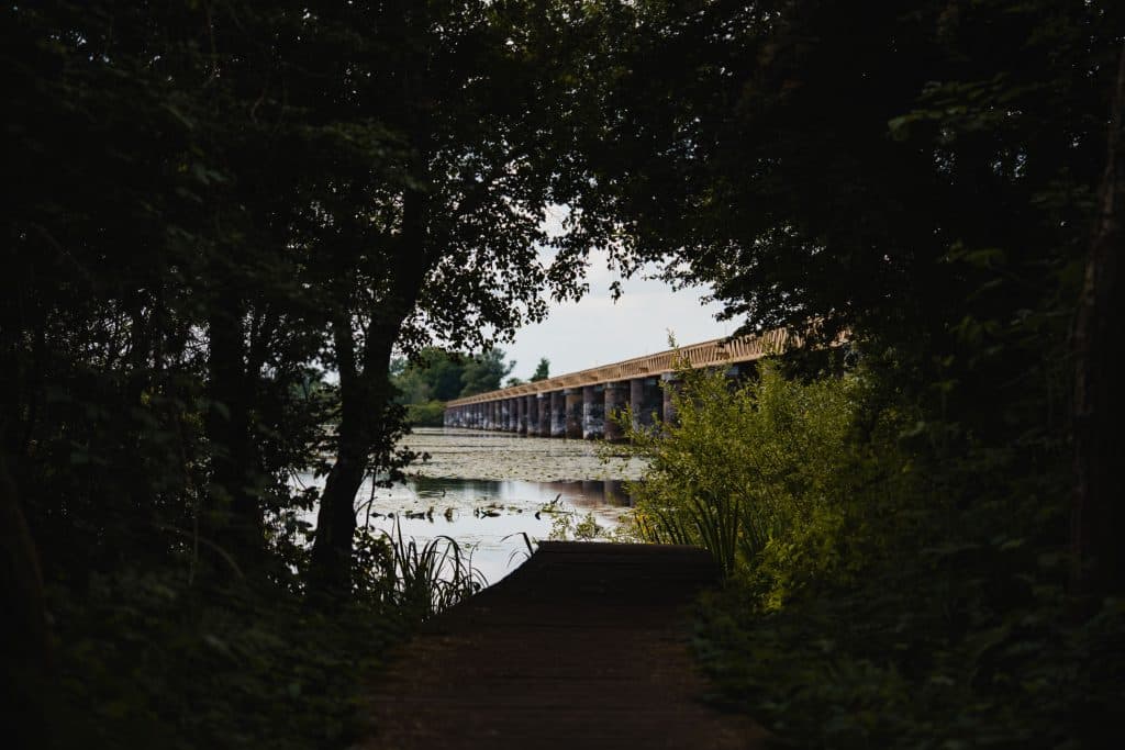 wandelen in den bosch