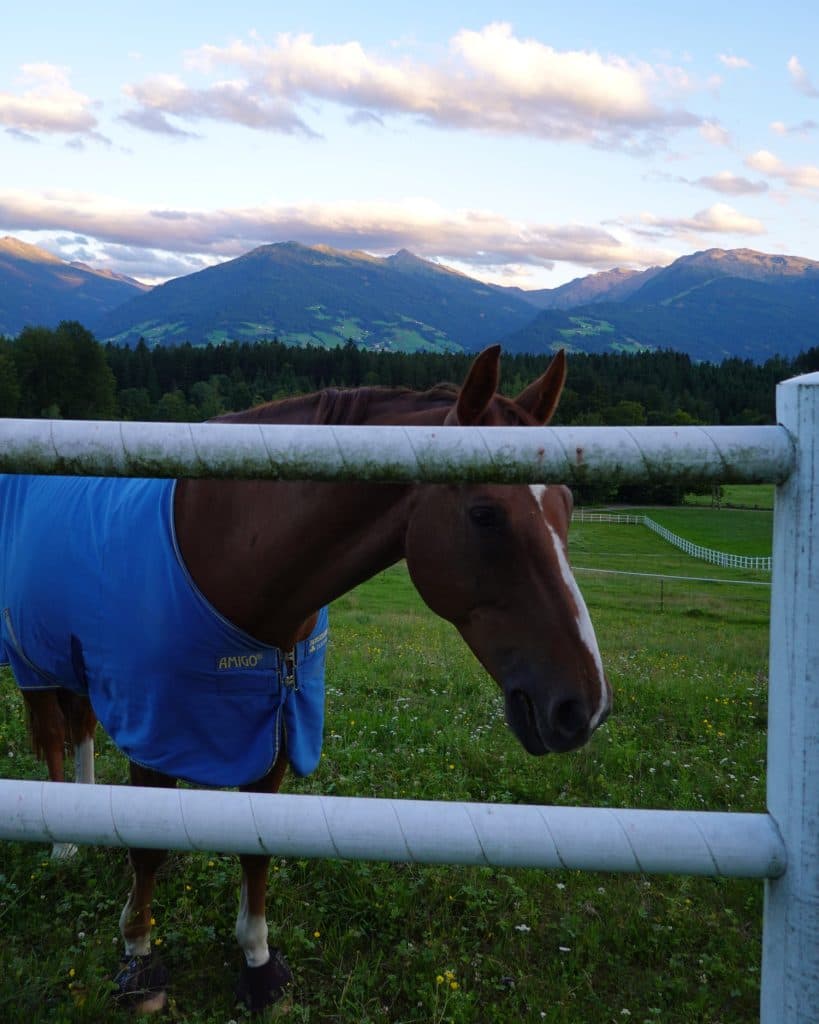 Een bruin paard met een blauwe deken staat achter een wit hek in een grasveld, met de majestueuze bergen van Tirol en een bewolkte lucht op de achtergrond.