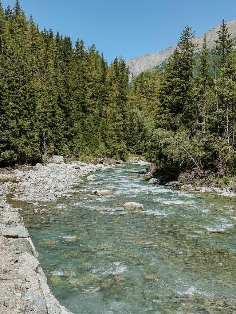 Een heldere rivier stroomt over rotsen door een bos van hoge pijnbomen, met op de achtergrond zichtbare bergen onder een helderblauwe hemel - het perfecte decor voor een roadtrip in Valle d'Aosta.